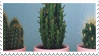 Stamp of cacti