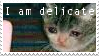 Stamp of sad cat with text 'I am delicate'