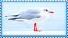 Stamp of a seagull