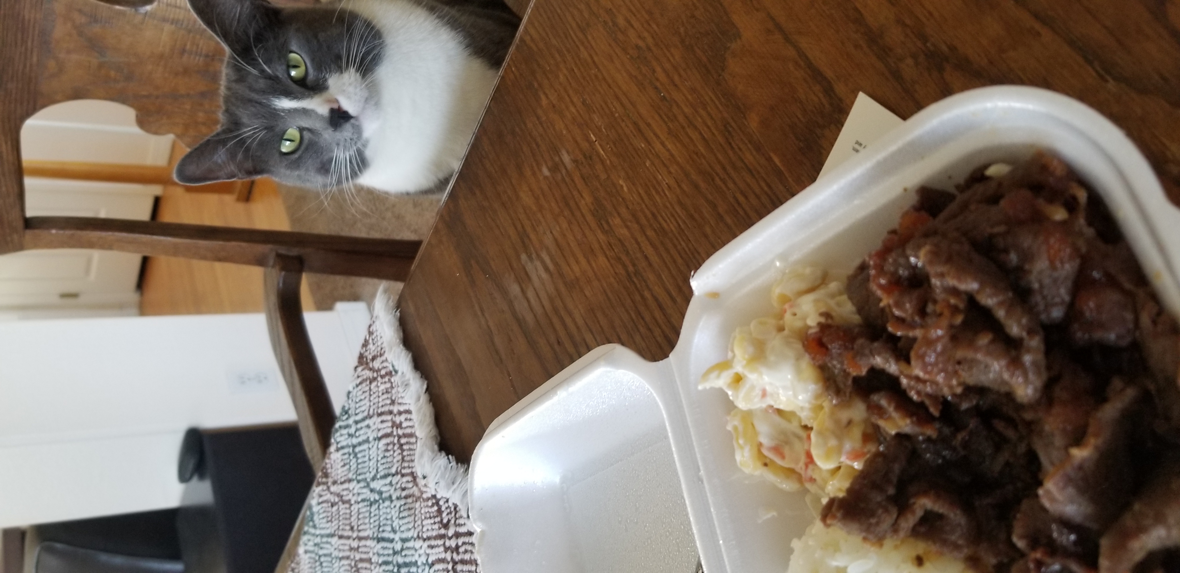 Gray and white cat with golden-green eyes sitting in a chair at the dining room table staring politely at take-out food.