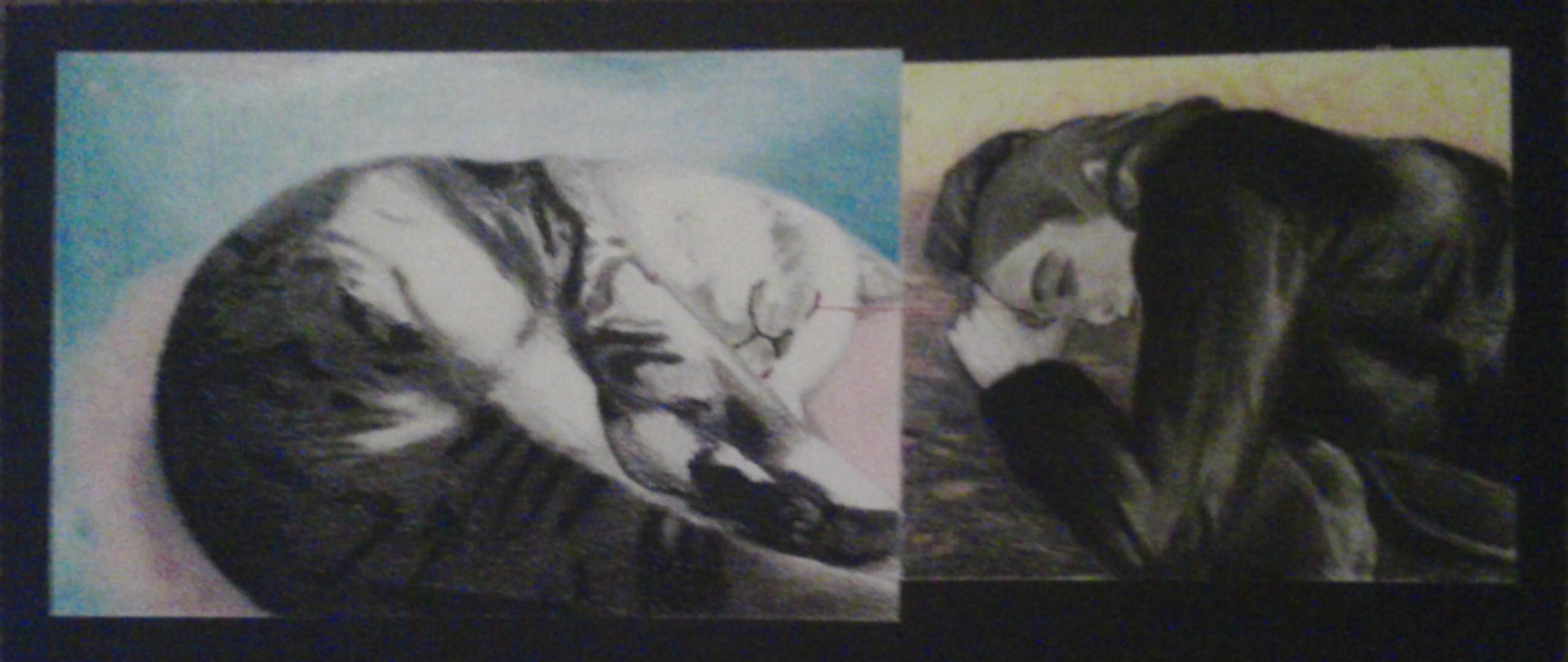 My art, colored pencil. My calico tabby cat sleeping on the left, me sleeping on the right. My cat and I are in black and white, while our backgrounds are colored. She is sleeping in pink clouds, while I appear to be in hell. There is a red laser between our eyes. I drew this in HS and I could not begin to explain any of this.